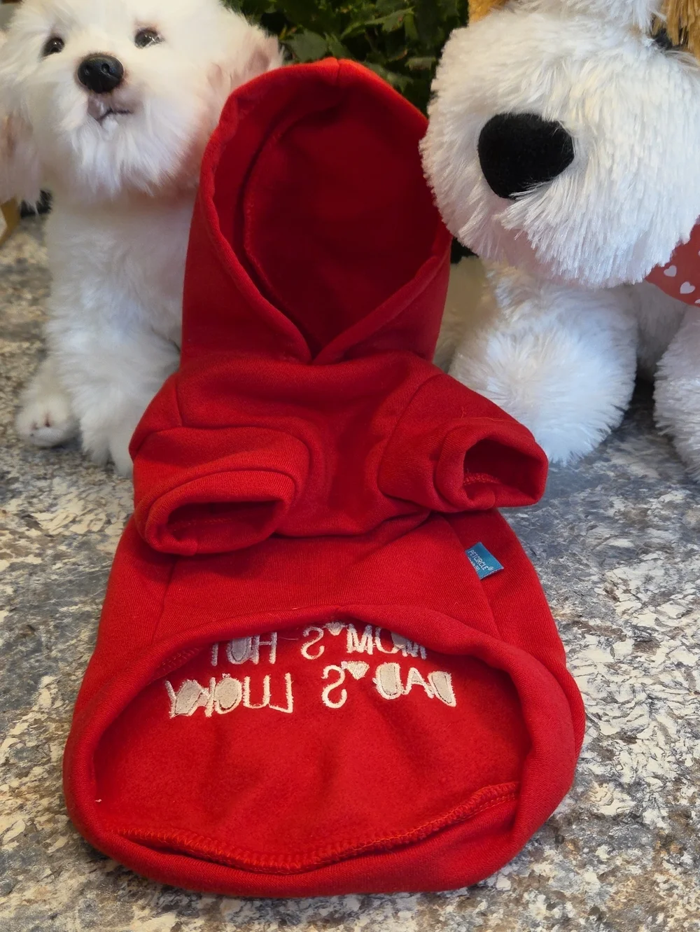 Red Fleece Dog Hoodie with Hood - Unbranded